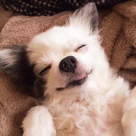 精选微信朋友圈语录 精选微信朋友圈语录