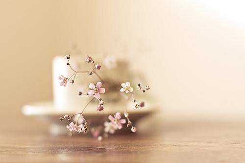 感悟人生的经典短句