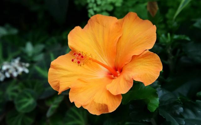 贫穷不能等，等久了，你将习惯贫穷（经典）