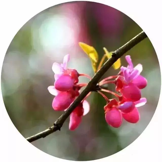 放下昨天,珍惜明天 放下昨天,珍惜明天