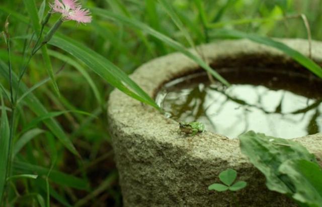 学会放弃，不是放屁（精辟）