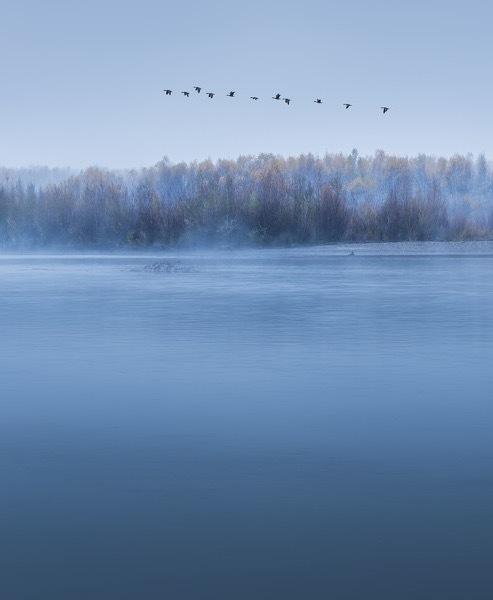 毛主席人间正道是沧桑