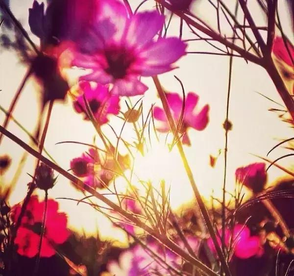 我允许任何事情的发生