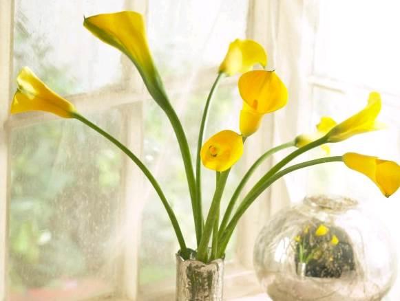 文艺范经典人生感悟图片说说短语 文艺范经典人生感悟图片说说短语