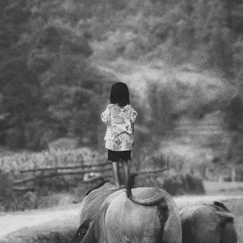 人生是条河，深浅都要过(太精辟了)