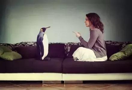 怜悯心可有，但请别泛滥