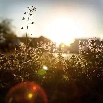 距离只是一个用来验证爱能走多远的测试