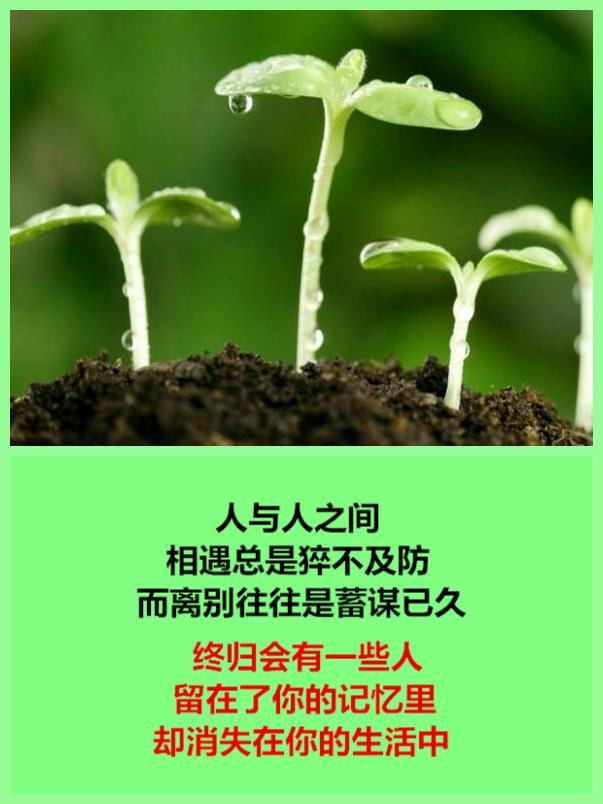 有些人，再也不能联系了