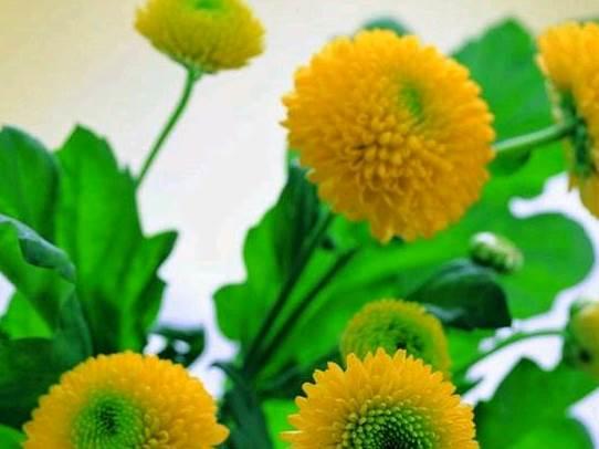 qq空间感悟人生的图片说说短语 qq空间感悟人生的图片说说短语