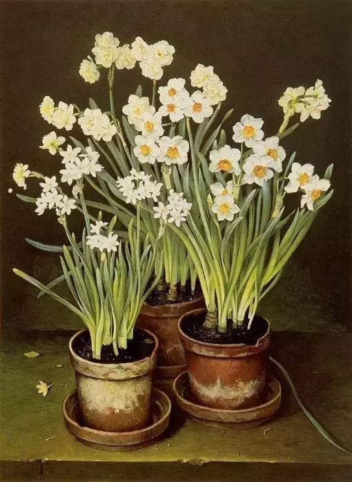 你惹我生气，我偏要争气