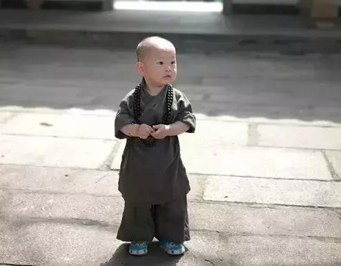 人，笨一点挺好，太计较会累