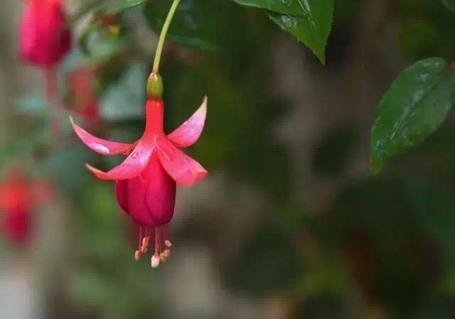 说好天长地久，不过是曾经拥有；坚信一生相守，却只是短暂邂逅