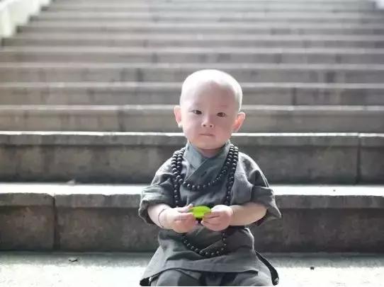 人，笨一点挺好，太计较会累