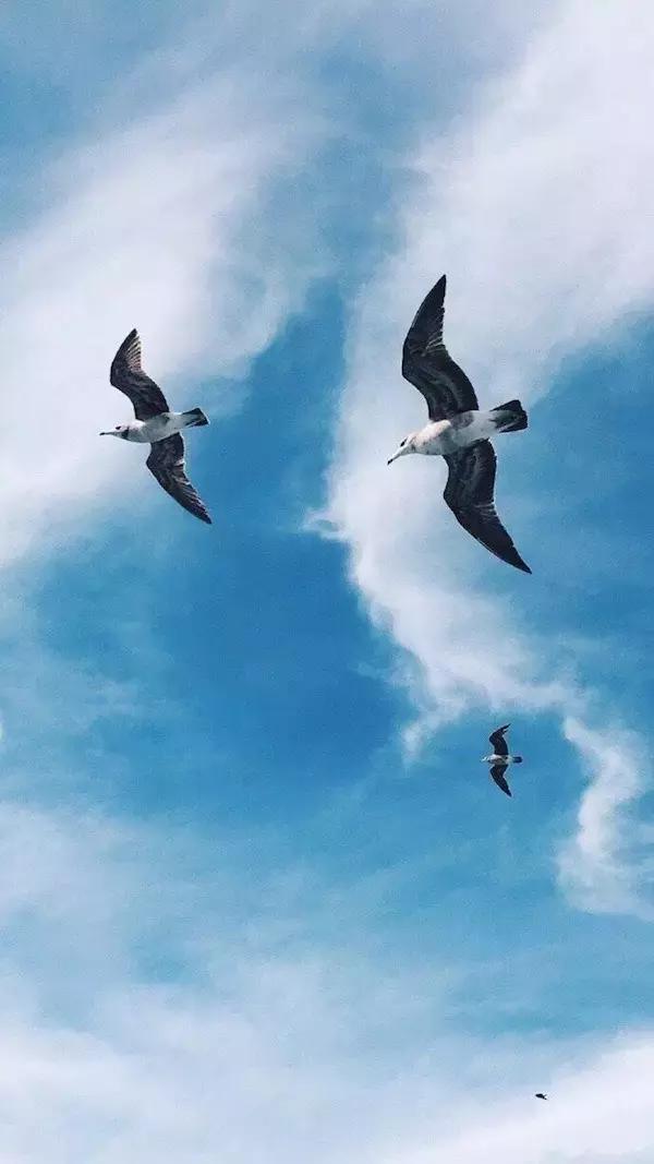 别用无谓的烦恼作践自己，伤害岁月