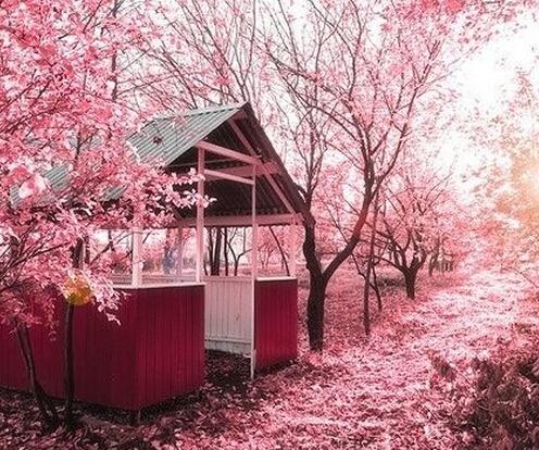 情感语录：我要变得多么坚强，才能承受这世态炎凉