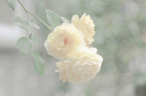 治愈自己心情的精美语录