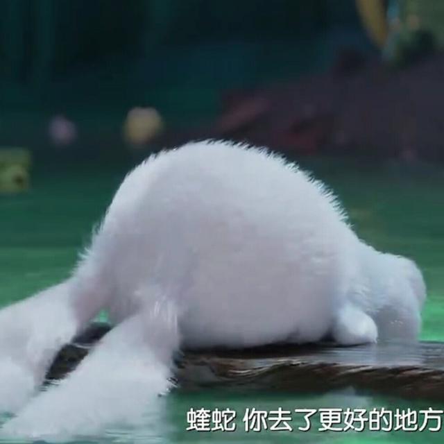 经典搞笑语录，这鸡汤有毒