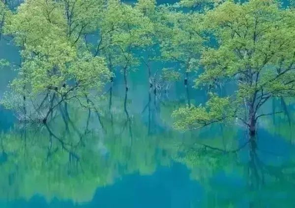 生活，浓淡相宜；人心，远近相安