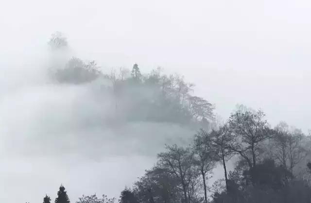 人活着的三个层次，你在哪一层？