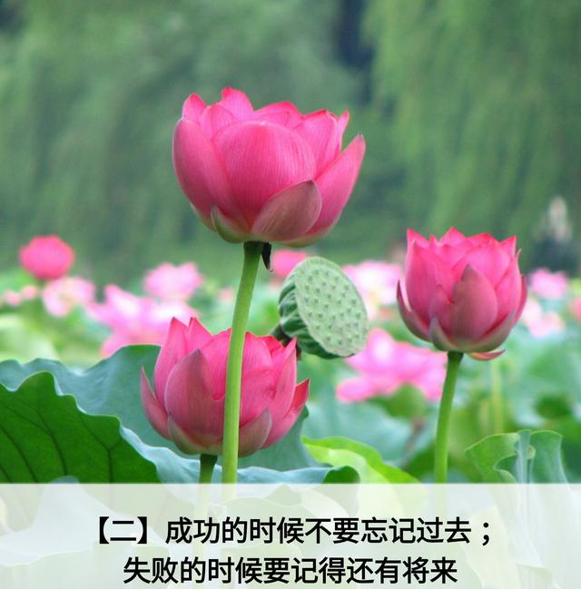 人生应该谨记的金言