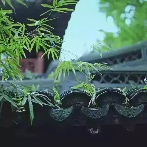 “口德”决定运势，莫做一个苛刻的人