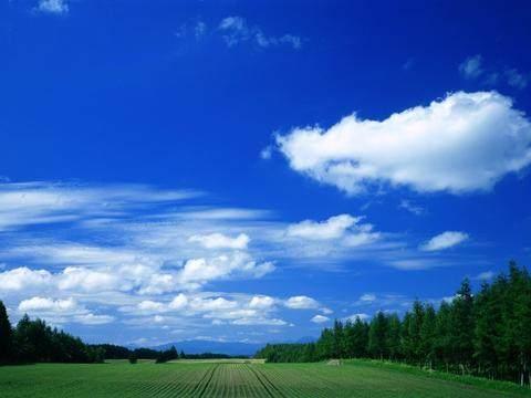 禅语感悟人生的句子，看完让你豁然开朗