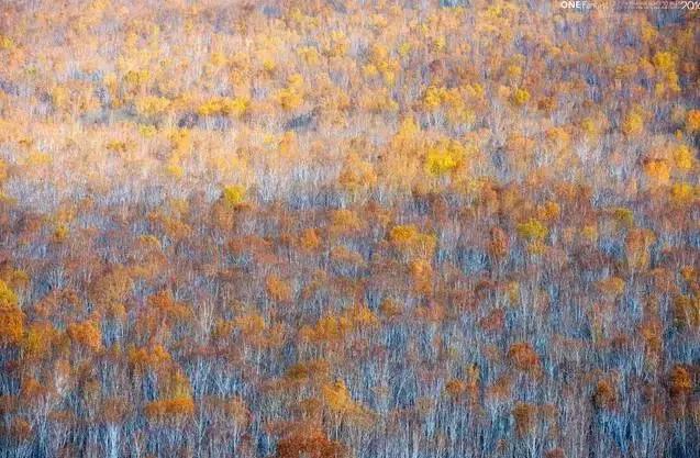 静守尘念,从容而安 静守尘念,从容而安