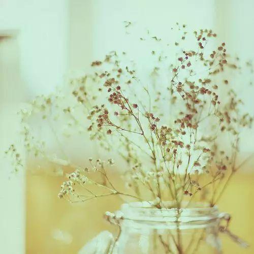 再回首,时光不老,我们不散 再回首,时光不老,我们不散