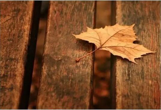 风一程，雨一程，人生一程又一程
