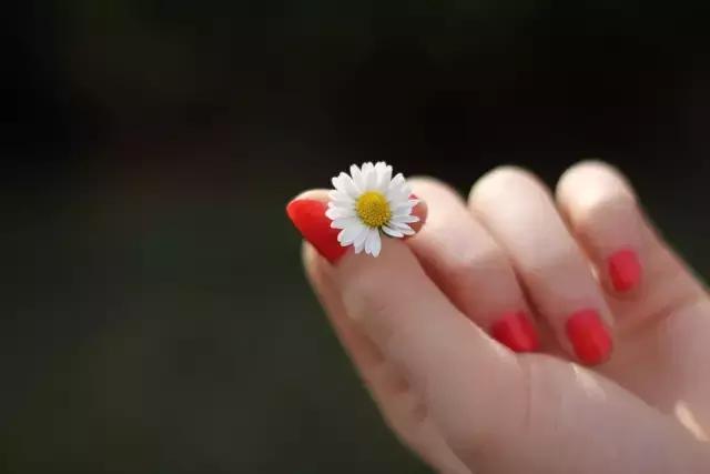 如果可以，我想晚一点遇见你