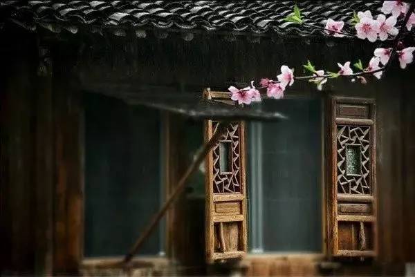 许我一场花开，还你一世繁华