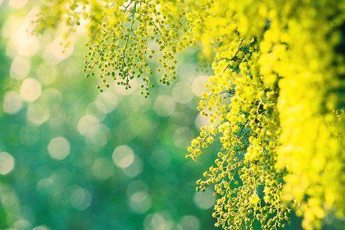 朋友圈充满正能量的情感语录