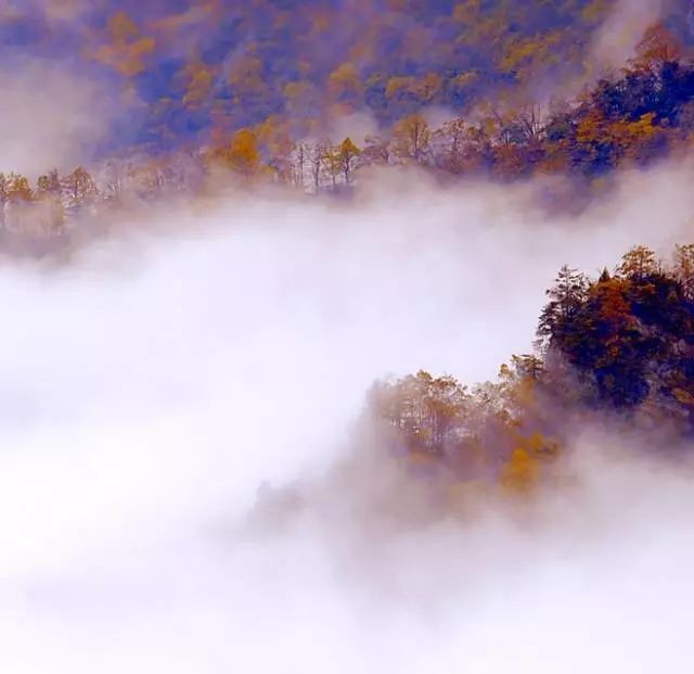 人这一生不过如此 人这一生不过如此