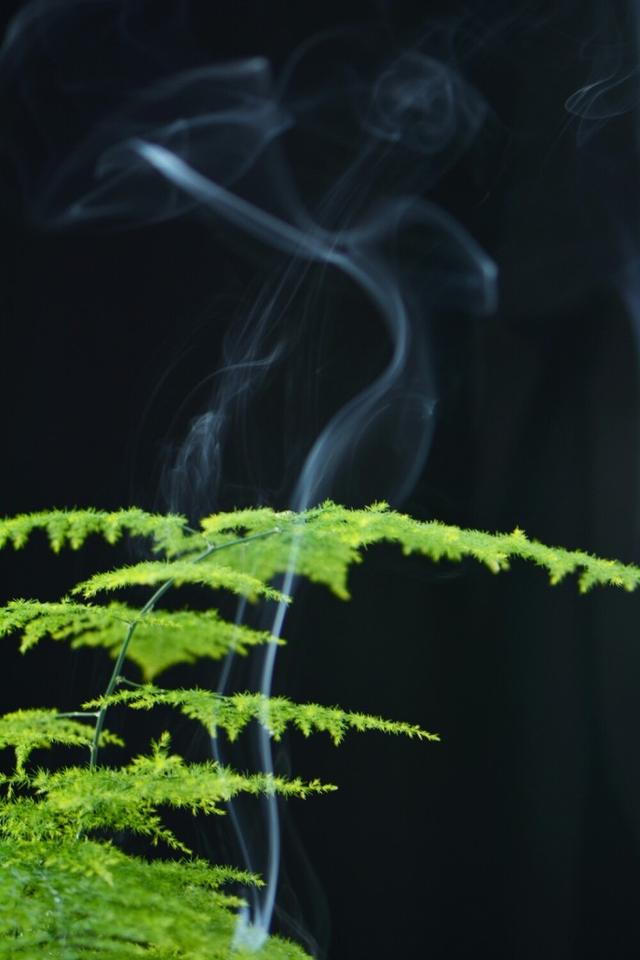 佛心禅语：20句慧根感悟，一语点醒梦中人