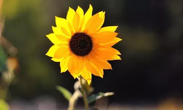 这段话,说进多少人心里 这段话,说进多少人心里