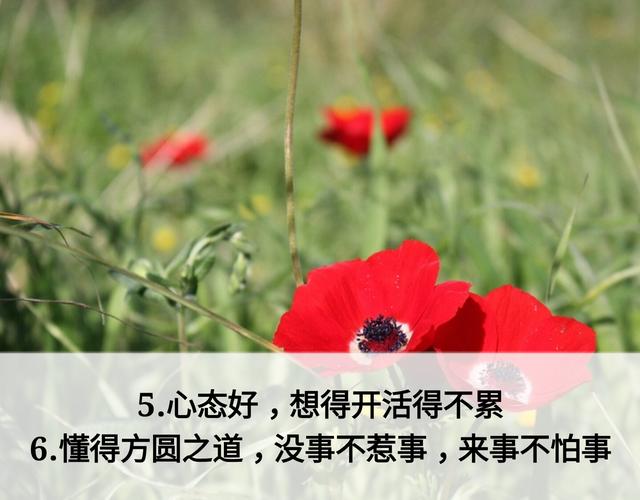 放下面子做人，但不可弯腰