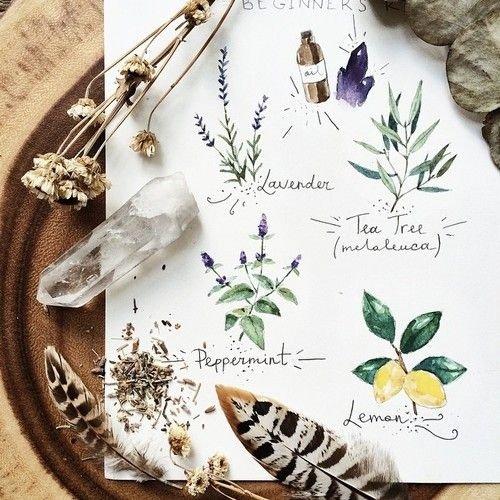 火爆微信朋友圈的经典语录,点赞率超高 火爆微信朋友圈的经典语录,点赞率超高