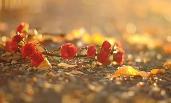 人心，怎能一伤再伤