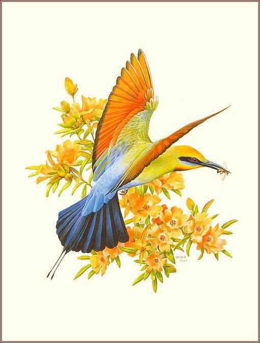 人生,看淡得与失,顺心无悔足矣 人生,看淡得与失,顺心无悔足矣