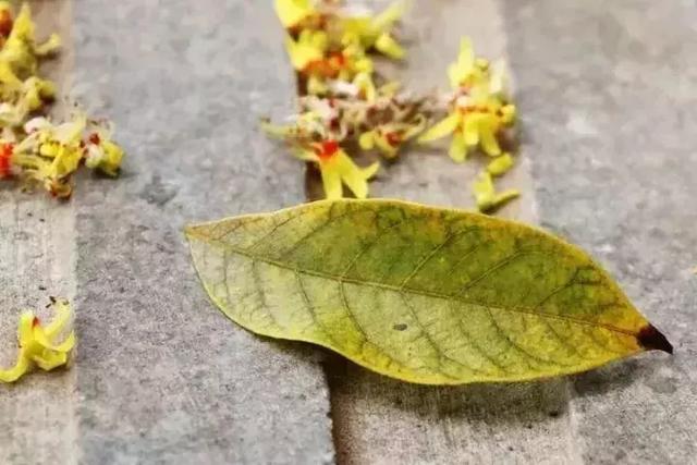 时间赠人阅历，世事尽可原谅