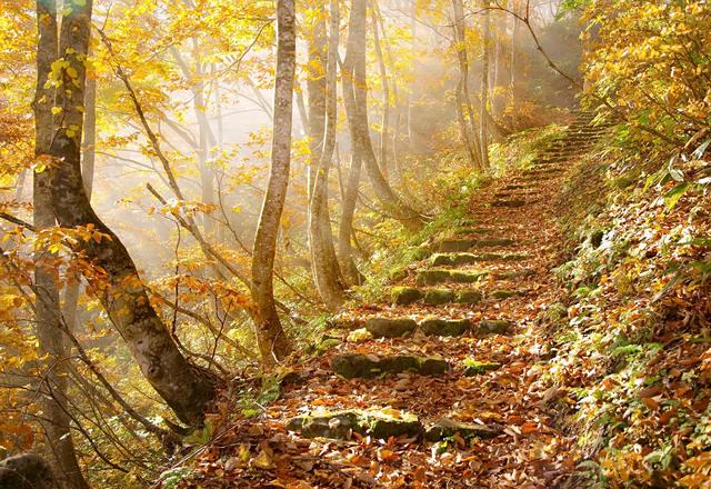 真正的交往，至简至真（精辟）