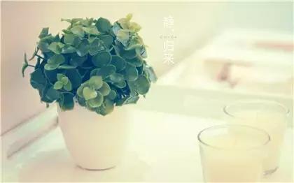 所有的遗憾，都是成全