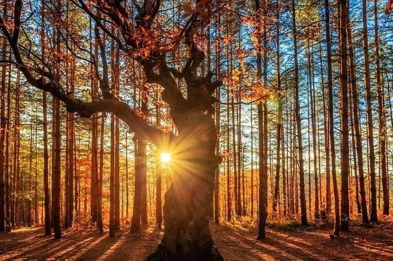 适合发朋友圈，受用一生的励志名言