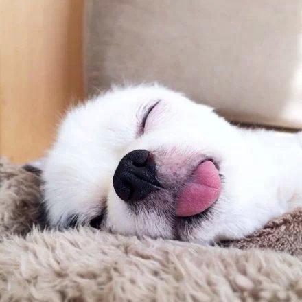 精选微信朋友圈语录 精选微信朋友圈语录