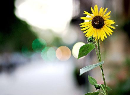 微信感悟人生的经典短语,感触很深 微信感悟人生的经典短语,感触很深