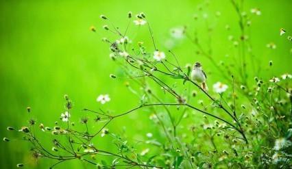 张牙舞爪的人，往往是脆弱的