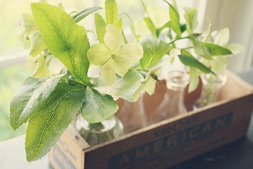 很美很美的沁人心扉的经典语录 很美很美的沁人心扉的经典语录