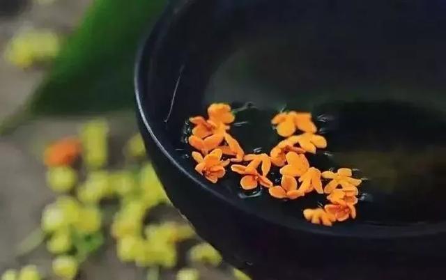 岁月里，那抹依心的暖