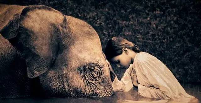 做人，我就这样