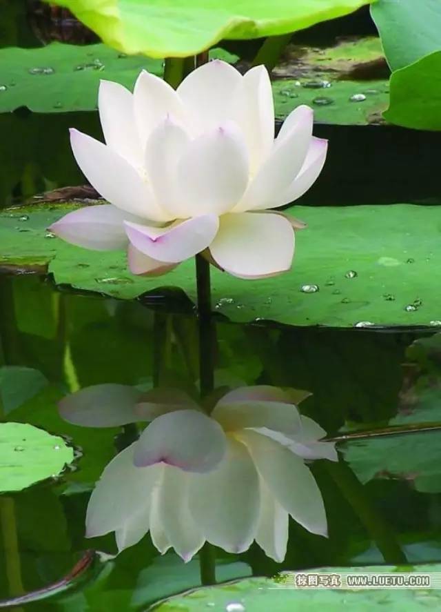 心态好，一切都会好